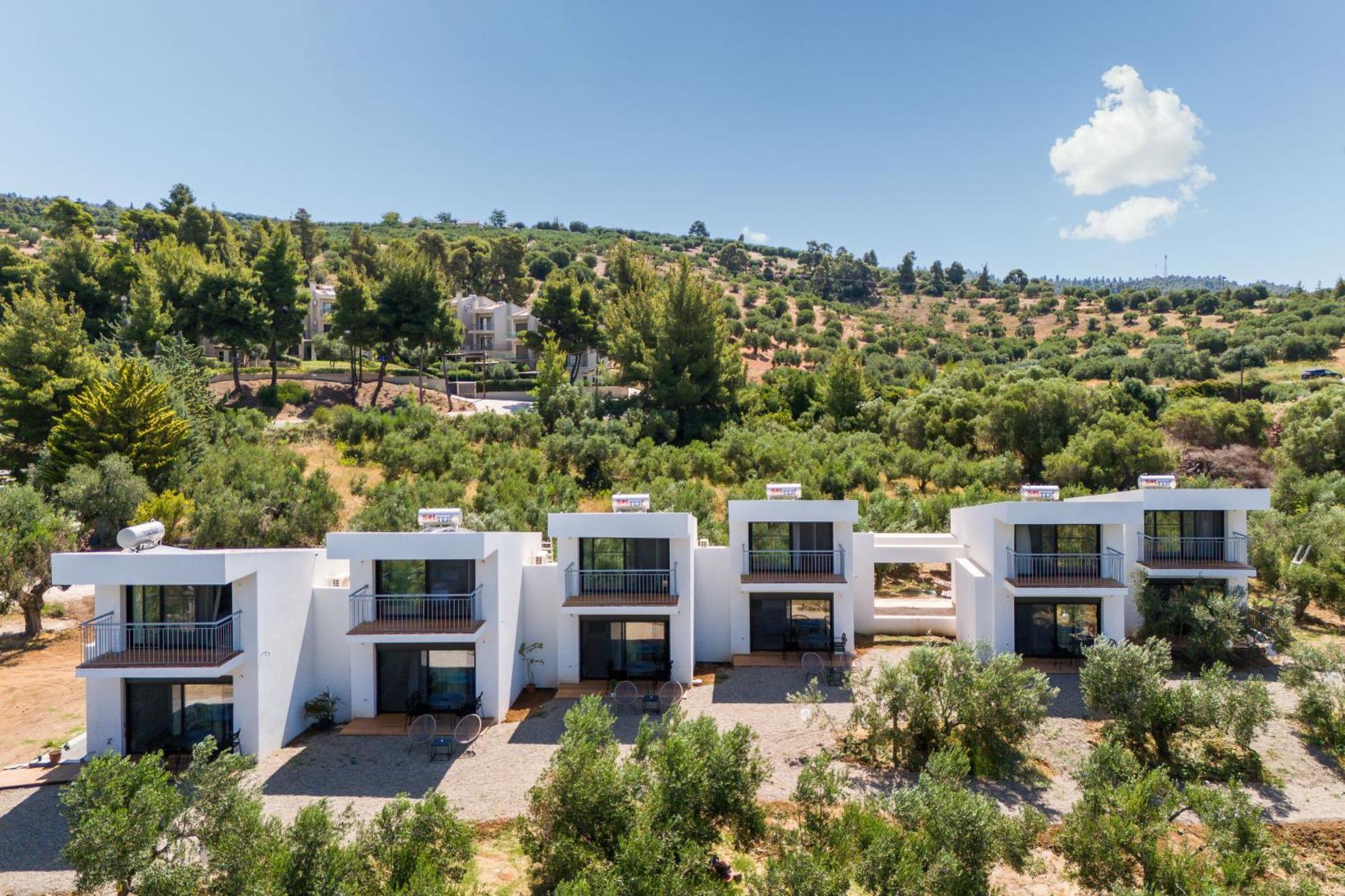 Olea Villas By Halu!, Cozy Villa In Nikiti Лагомандра Экстерьер фото